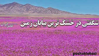 مدل کیف و کفش های جدید